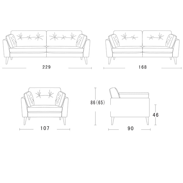 Albert : Velvet Fabric Sofa with Buttoned Cushions - Modern Home Furniture