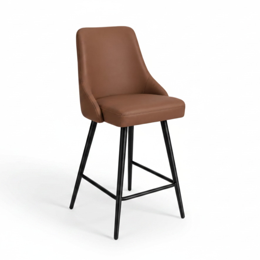 Alonzo : Bar Stool in Rust