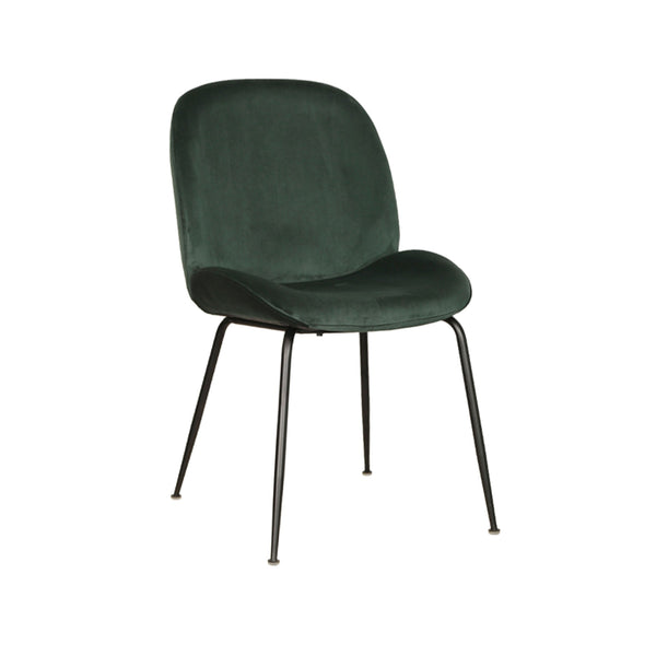 Astra : Dining Chair