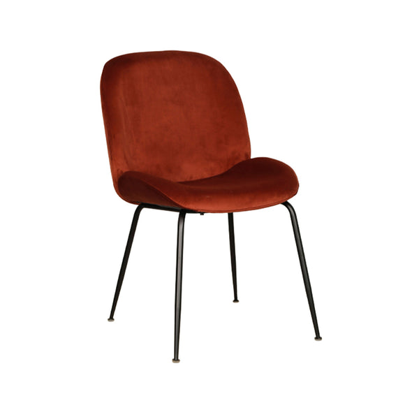 Astra : Dining Chair