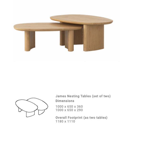 James : Nest of Two Coffee Table Natural Oak