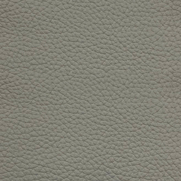 Wilson : Dining Chair Light Grey Leather Natural Frame